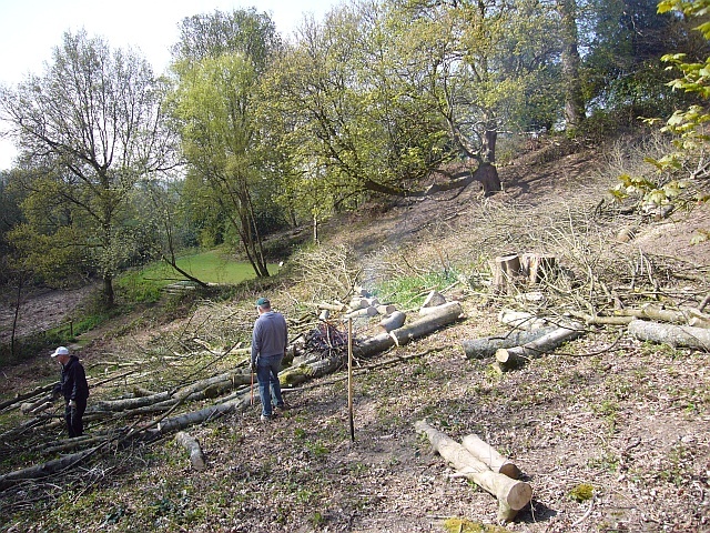 Clearing More Brash at Deepdene Terrace (1) - Before (1/5/13)